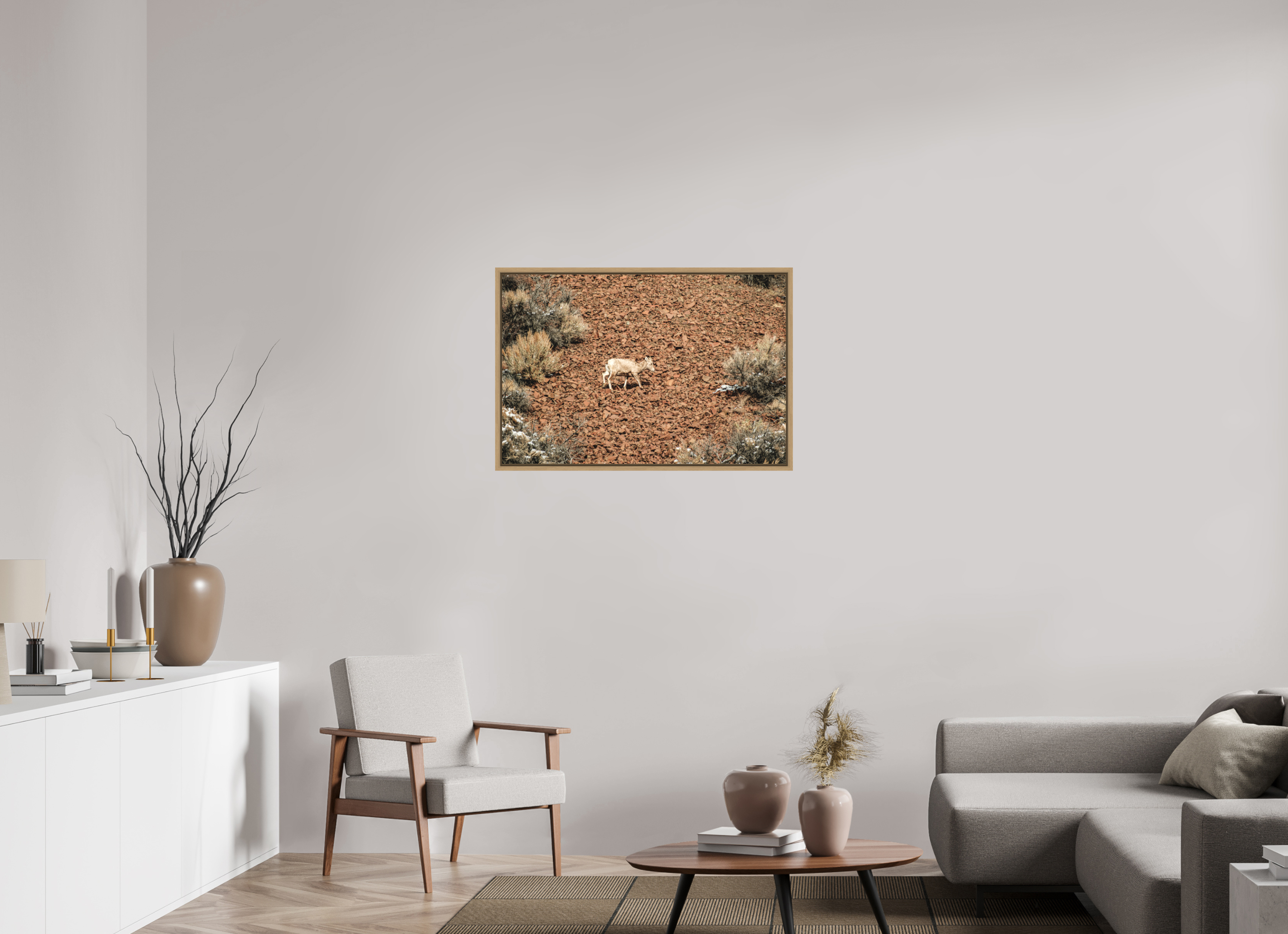 36 x 24″, Floater Frame Oak A baby Bighorn Sheep