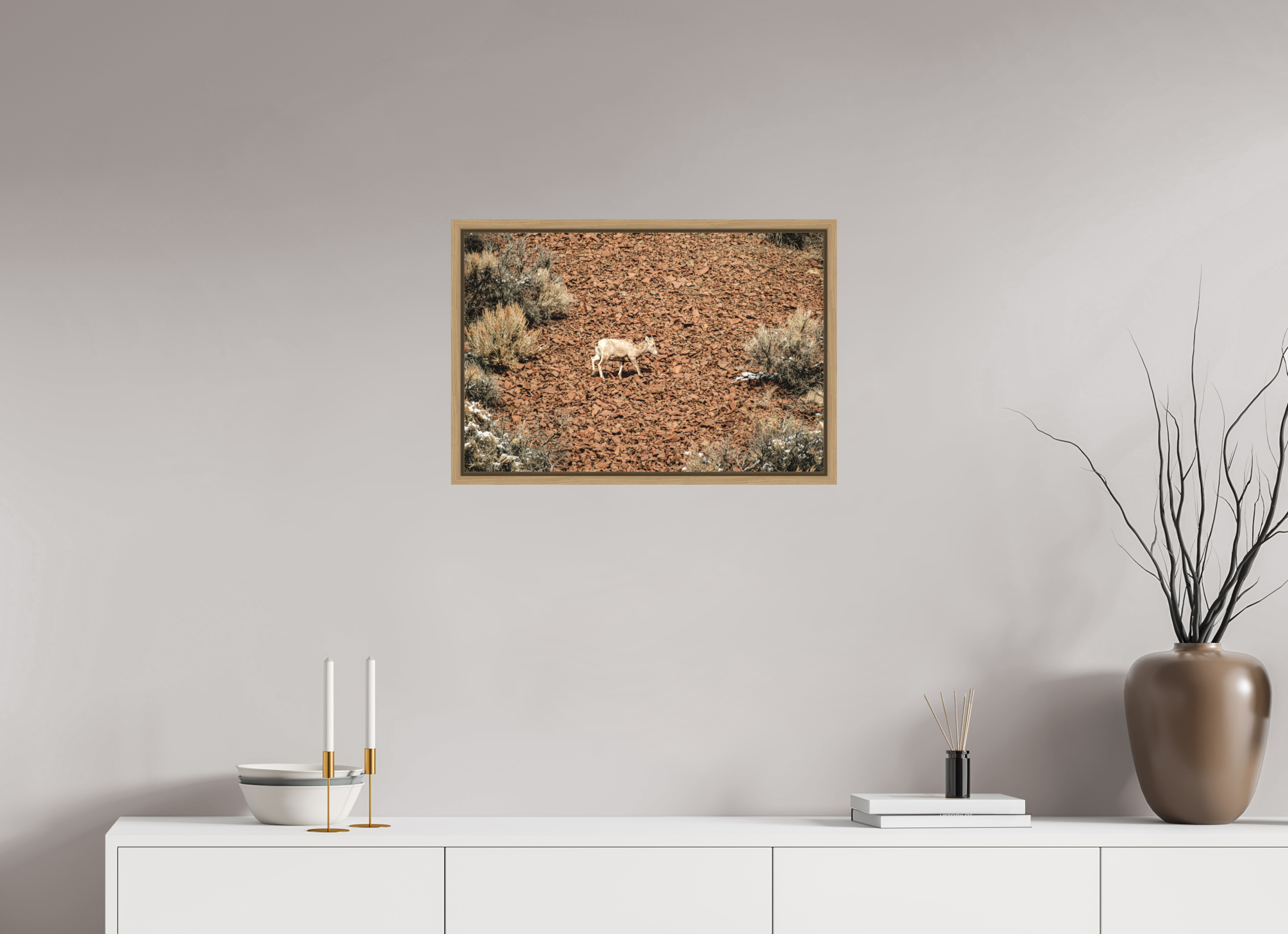 24 x 16″, Floater Frame Oak A baby Bighorn Sheep