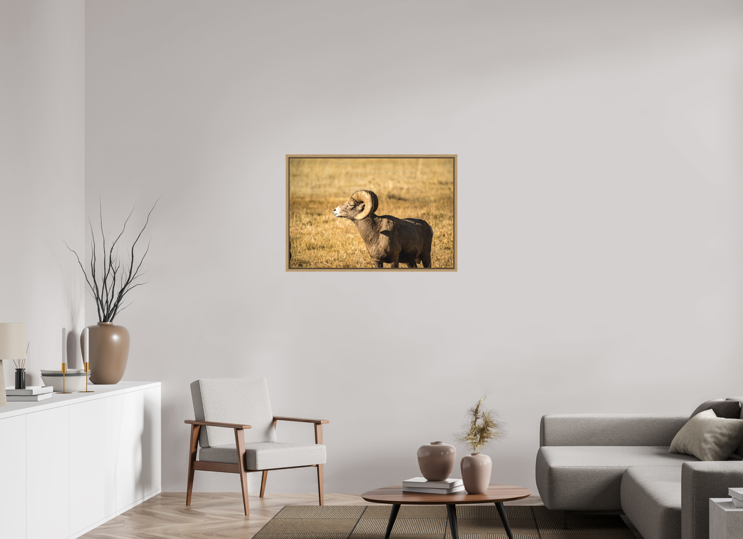 36 x 24″, Floater Frame Oak Bighorn Ram