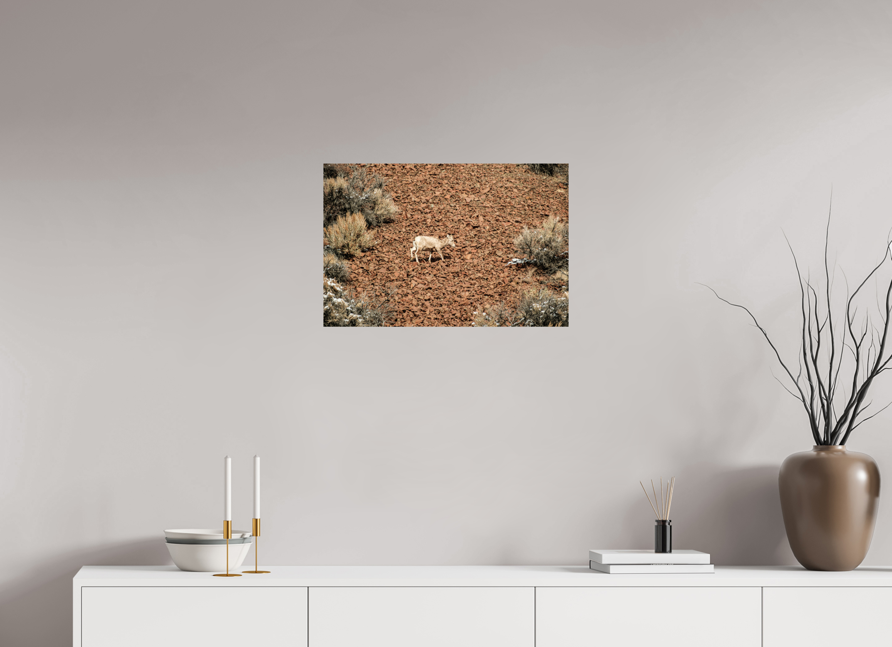 24 x 16″, Photo Print On Fuji Crystal DP II A baby Bighorn Sheep