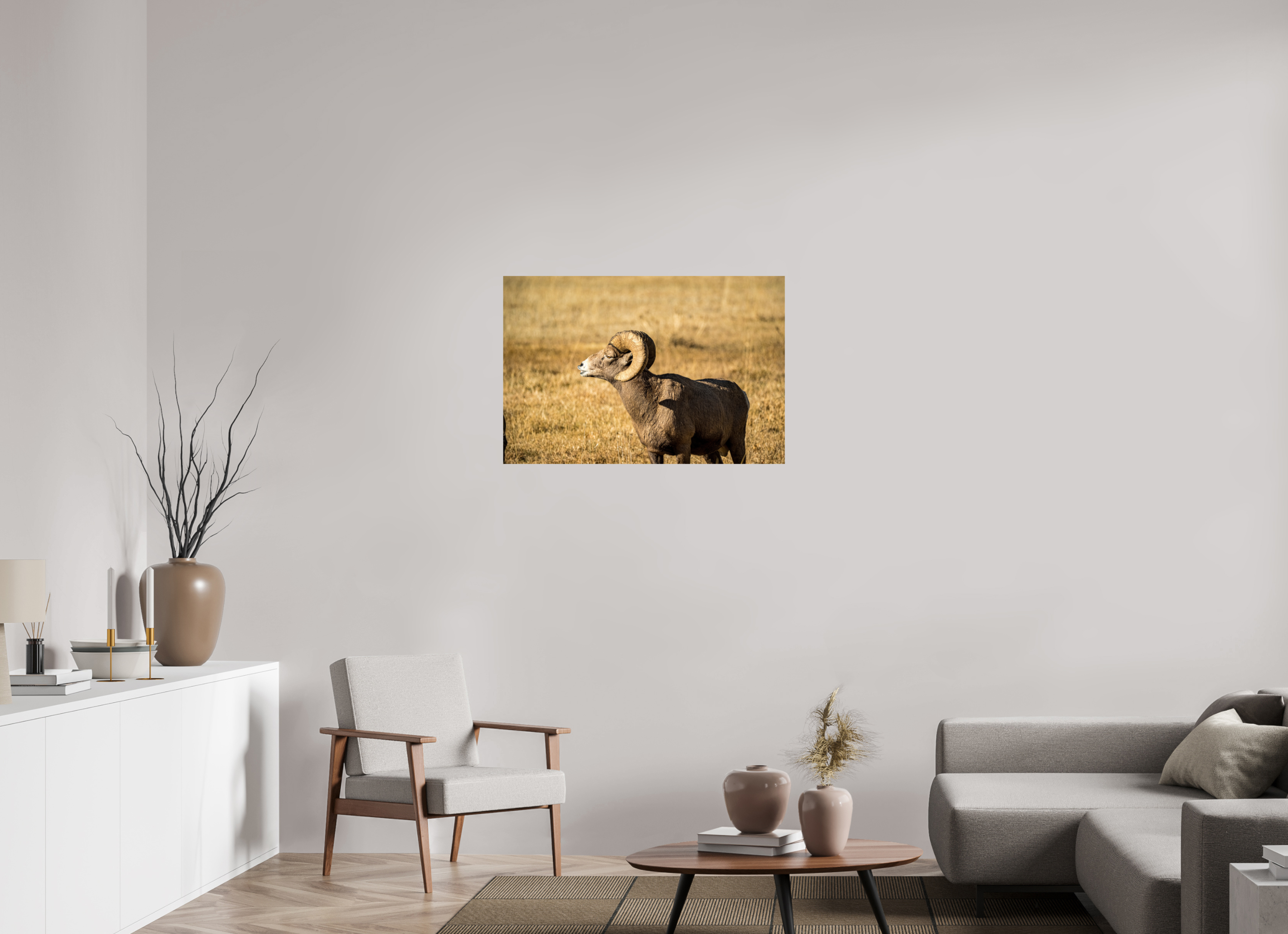 36 x 24″, Photo Print On Fuji Crystal DP II Bighorn Ram