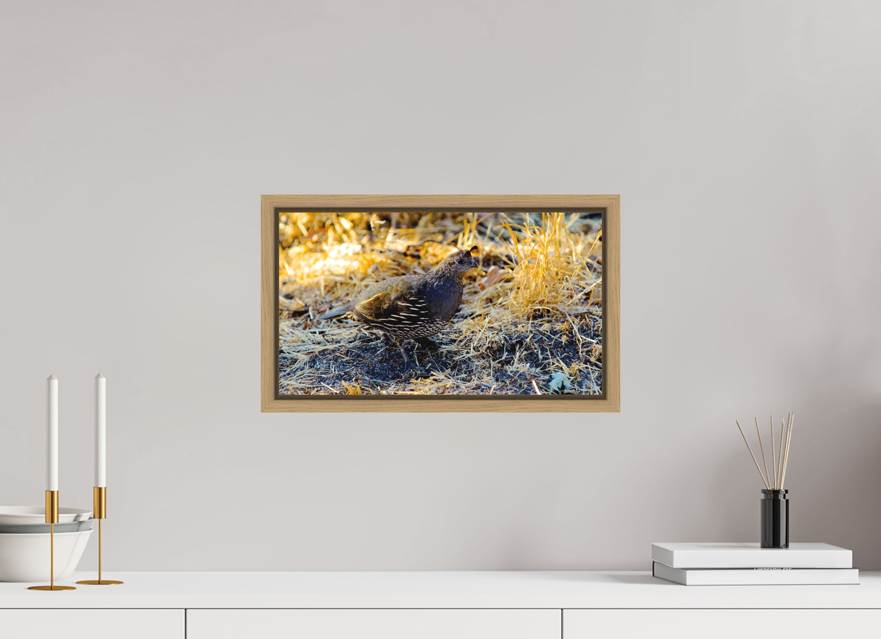 16 x 9″, Floater Frame Oak California Quail