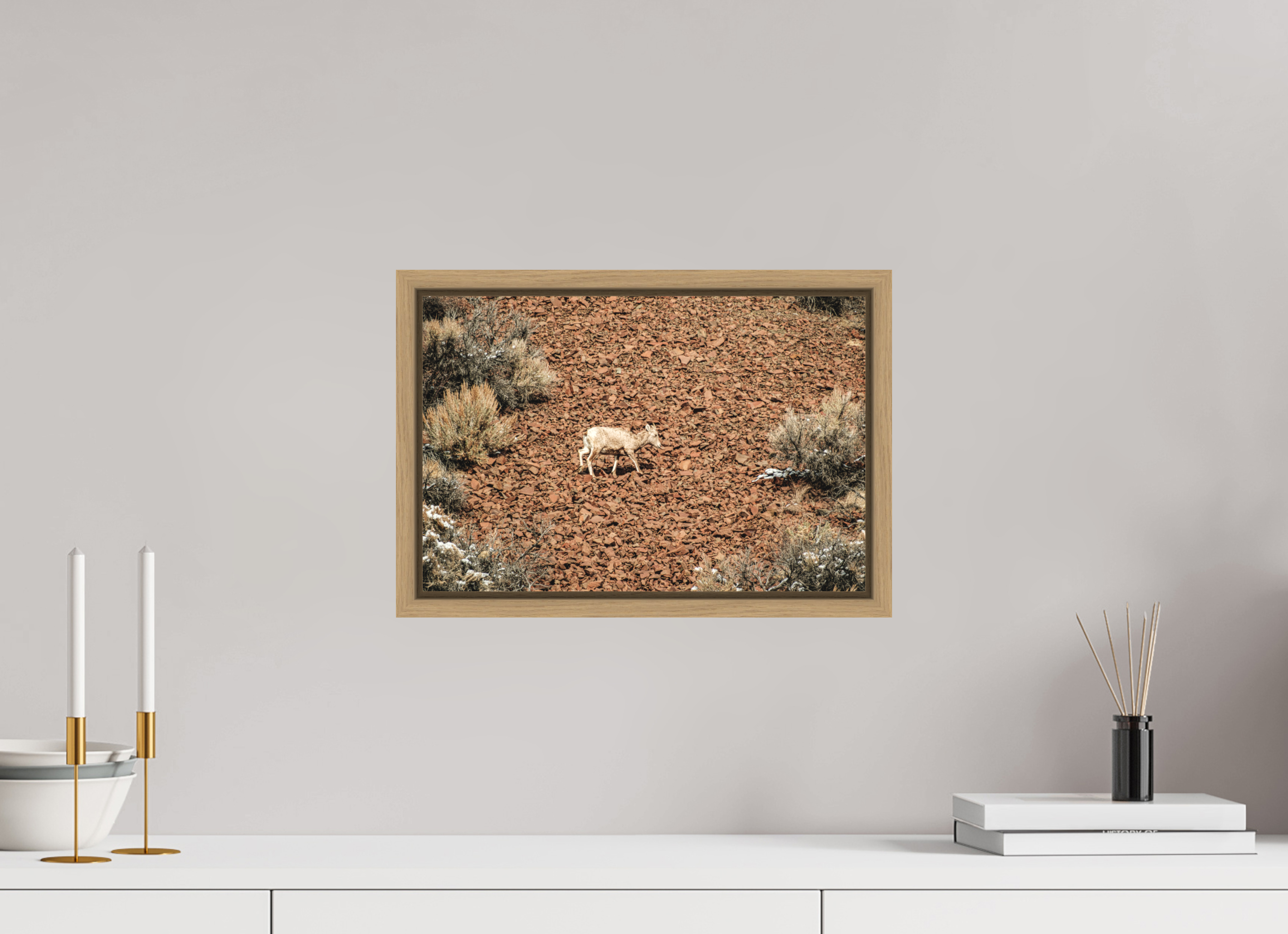 15 x 10″, Floater Frame Oak A baby Bighorn Sheep