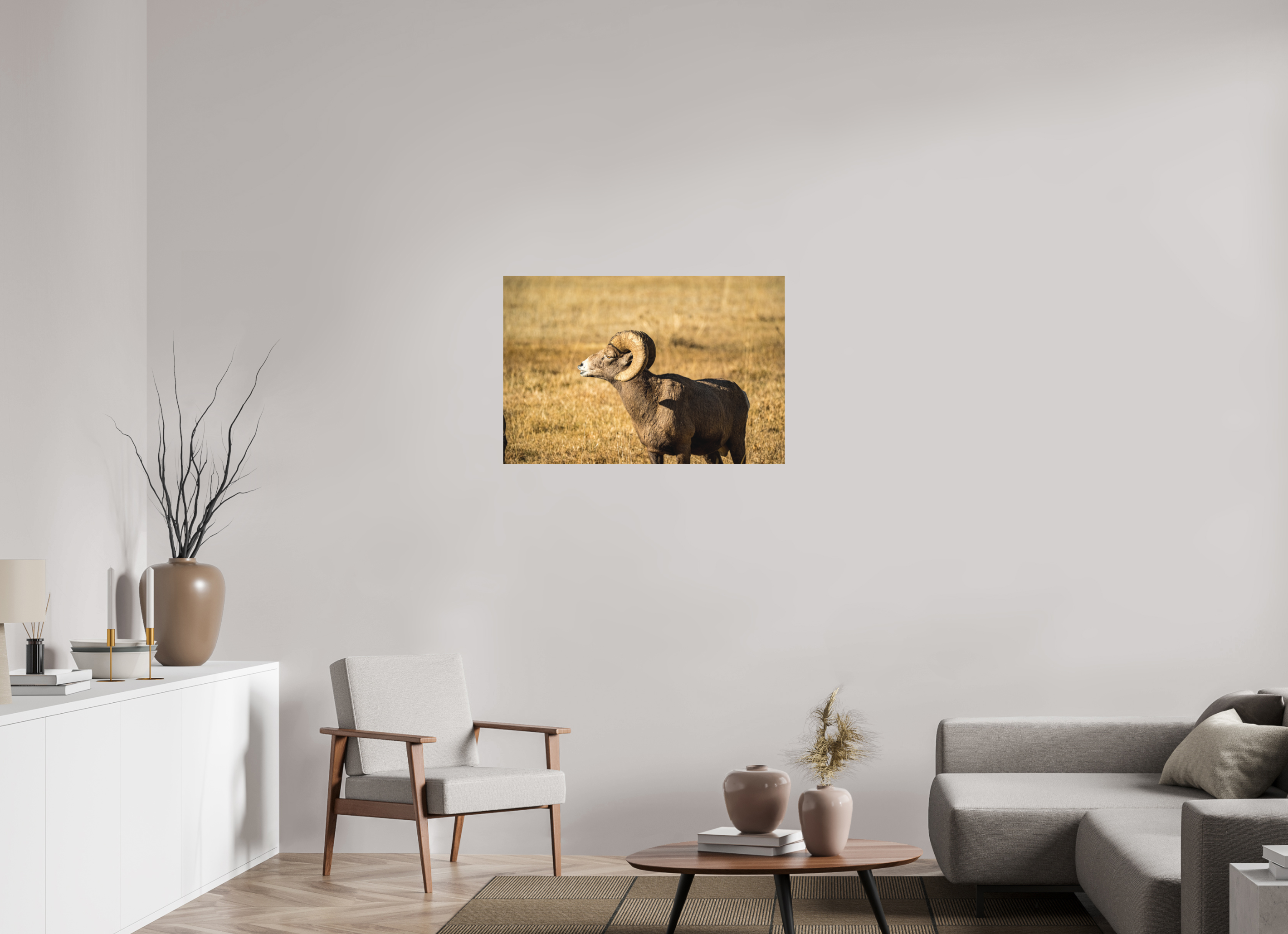 36 x 24″, Matte photo print Bighorn Ram