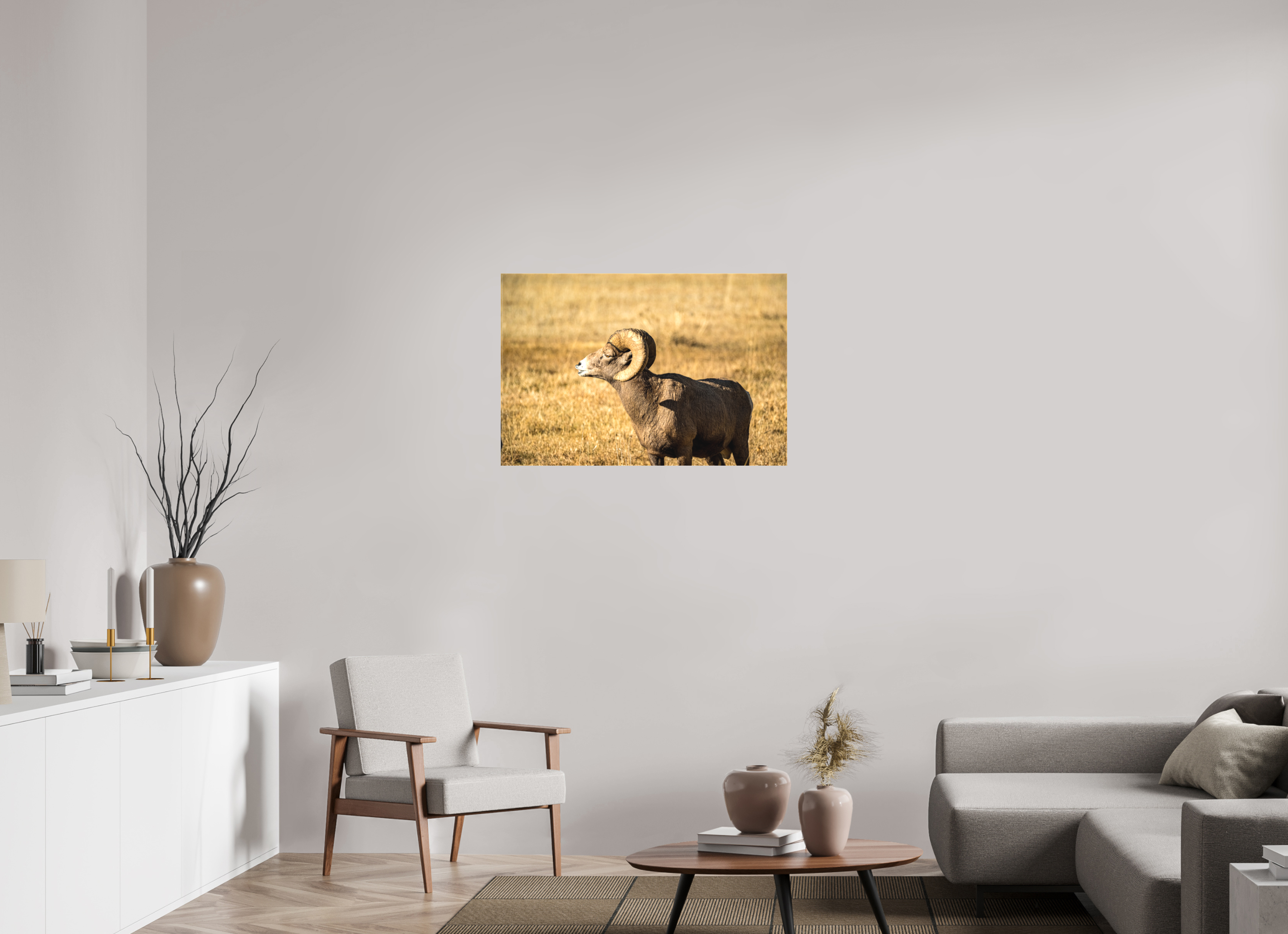 36 x 24″, Matte Canvas on Stretcher Frame Bighorn Ram